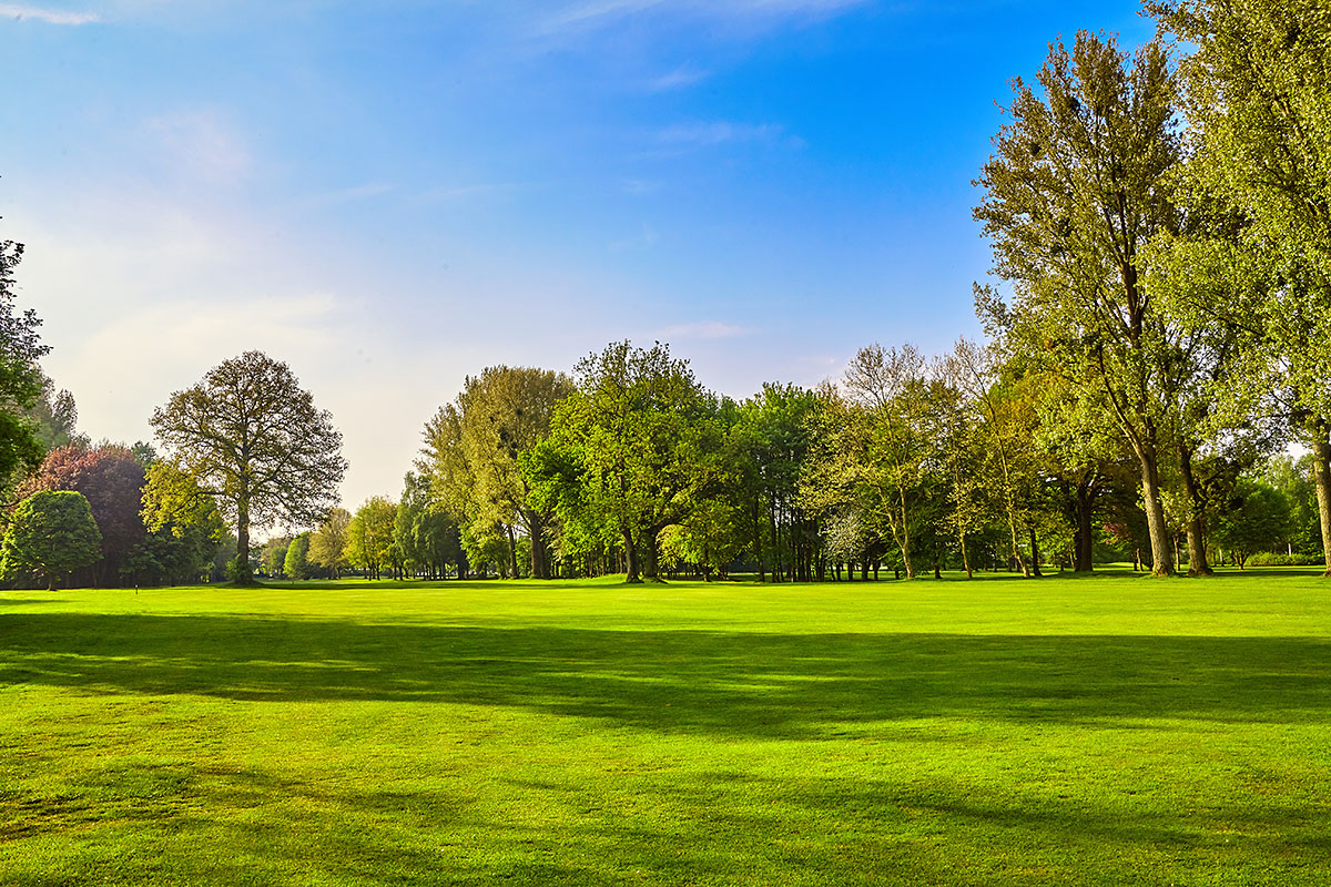 Parc régional du Domaine Vert