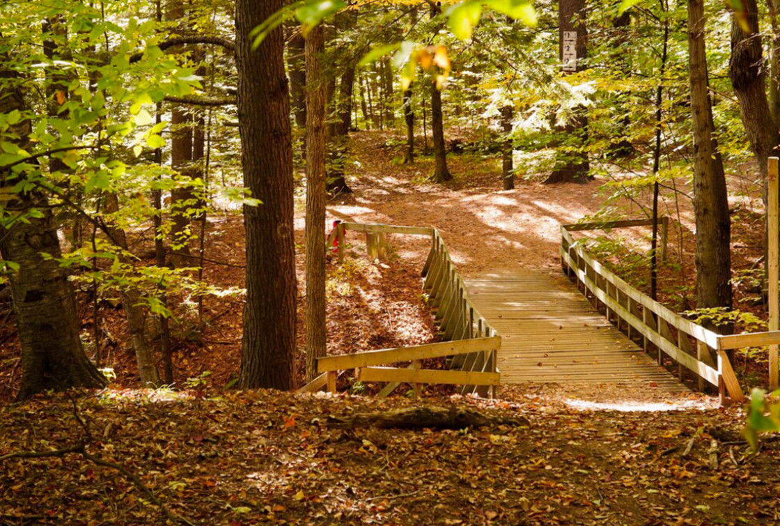 Parc du Grand-Côteau